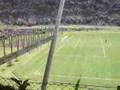 cantera de Pumas