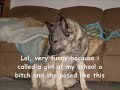 My Dog