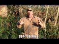 Alabama Quail Hunting at Great Southern Outdoors