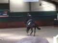 Bekijk video