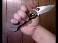 Spyderco Para Military D2 C81FG