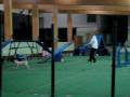 Treenit 4.12.08