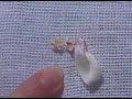French Knot Rose