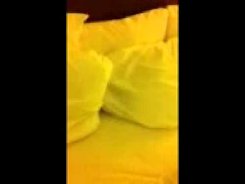 pixie pillow