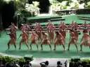 Ngati Ranana at Te Manahua Maori Cultural Festival 2008