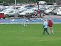 400 meter hurdle debacle