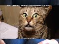 Very funny pictures! Part 1 The original!Haha omg!!! Very funny pictures! Part 1 The original!Haha omg!!!