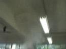 Aula de laboratório comparando a reatividade do metal sódio (Na) em relação ao álcool e em relação à água.
UMA VERDADEIRA EXPLOSÃO!!!!!!!!!!!