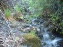 Handel - Water Music Suite In F- (Allegro) Handel - Water Music Suite In F- (Allegro)
