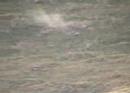 Varmint shoot Varmint shoot