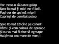 Un cantec barbar - George Cosbuc
