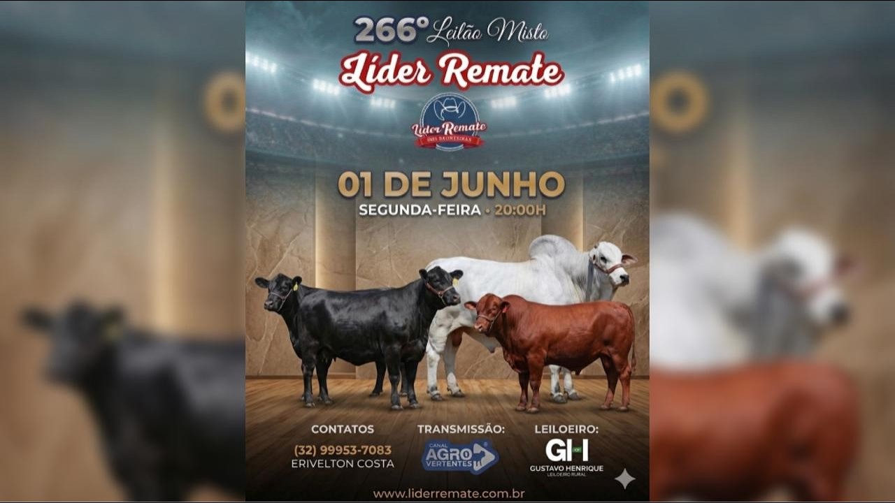 266º LEILÃO MISTO LÍDER REMATE - SÃO JOÃO DEL REI/MG - 01/06/2026