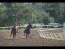 A summer at the track