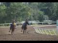 A summer at the track