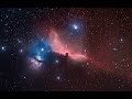 Orion Orion