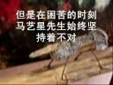 The new non-mainstream art in China-2