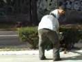 Rottweiler video
