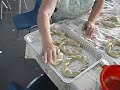 Nonna Facendo le \"Ciambelle di Capdanno\" alla Ripana (11