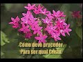 Hinário Adventista 288 - Ser Igual a Cristo Hinário Adventista 288 - Ser Igual a Cristo