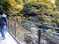 袋田の滝から降りたところの橋です。