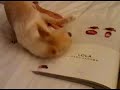 Chloe putting on perfume