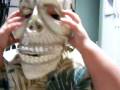106_4781.MOV