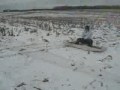Illinois Farm for X-mas - Extreme Winter Farm Sports Illinois Farm for X-mas - Extreme Winter Farm Sports