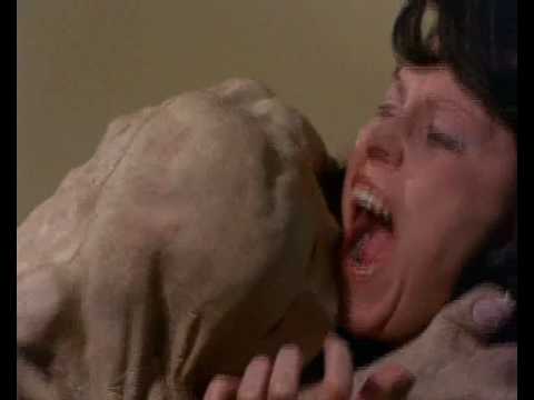 Basket Case - What's in the basket?