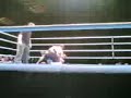 Len Tam vs Adam Laporte NFC 7 - Title Fight