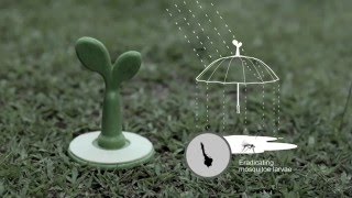 Ideas para un mundo mejor...