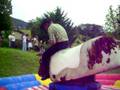 videos de Toinou 2008
