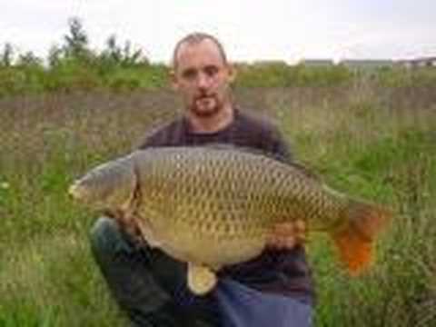 Big uk carp & Catfish compilation,mk ...