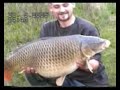 Big uk carp & Catfish compilation,mk and bedford