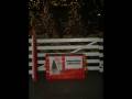 CasaPound Palermo - I regali di Natale del comune