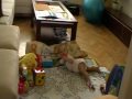 srpen na ctyrech 20090827 113200