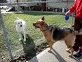 MOV00954 MOV00954