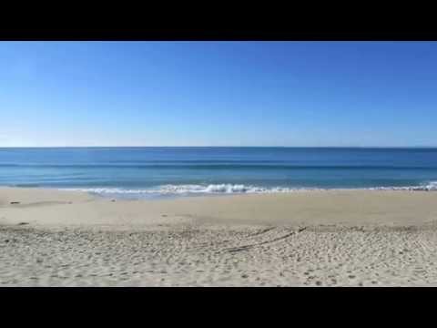 Video for Roosevelt Beach at Half Moon Bay State Beach