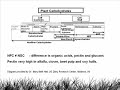 Carbohydrate Nomenclature by Katy of Safergrass.org