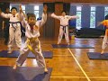 Tae Kwon Do Dancing (Level: Beginner) ?? Tae Kwon Do Dancing (Level: Beginner) ??