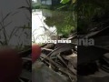 Video Bokep cina Video Bokep cina