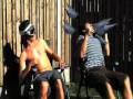 videos de birds
