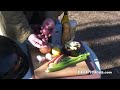 Cornish Game Hens recipe by the BBQ Pit Boys