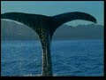 miracle_planet4 (part four)