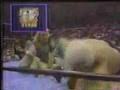 NWA 80s Wrestling T shirt Commercial Ric Flair