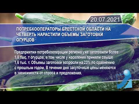 Новостная лента Телеканала Интекс 20.07.21.