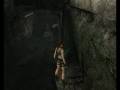 Tomb Raider Anniversary, 7600GT.