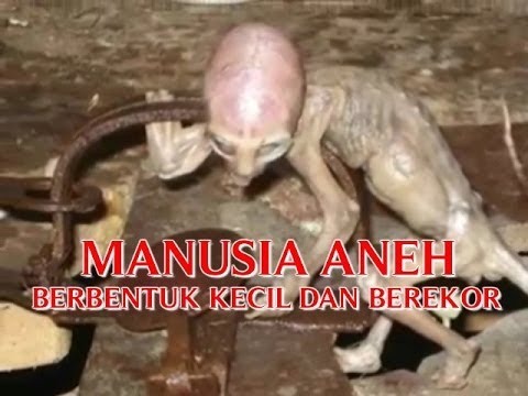Video raja poker dunia