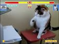 YouTube - Street Fighter 2 - Pussy versus Printer