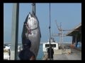 いもフライ動画12