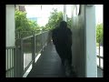 freerunning buli